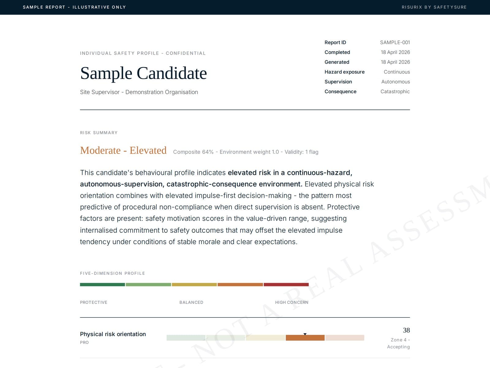Sample RISURIX risk profile report